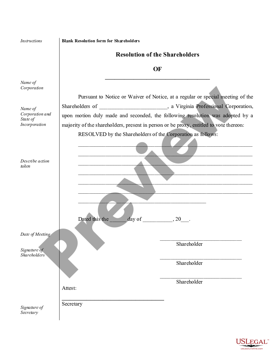 page 6 Sample Corporate Records for a Virginia Professional Corporation preview