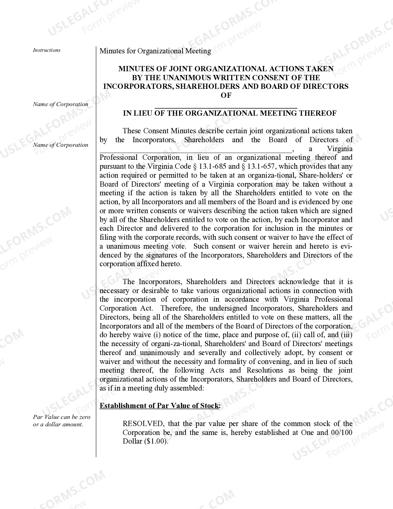 Preview Organizational Minutes for a Virginia Professional Corporation