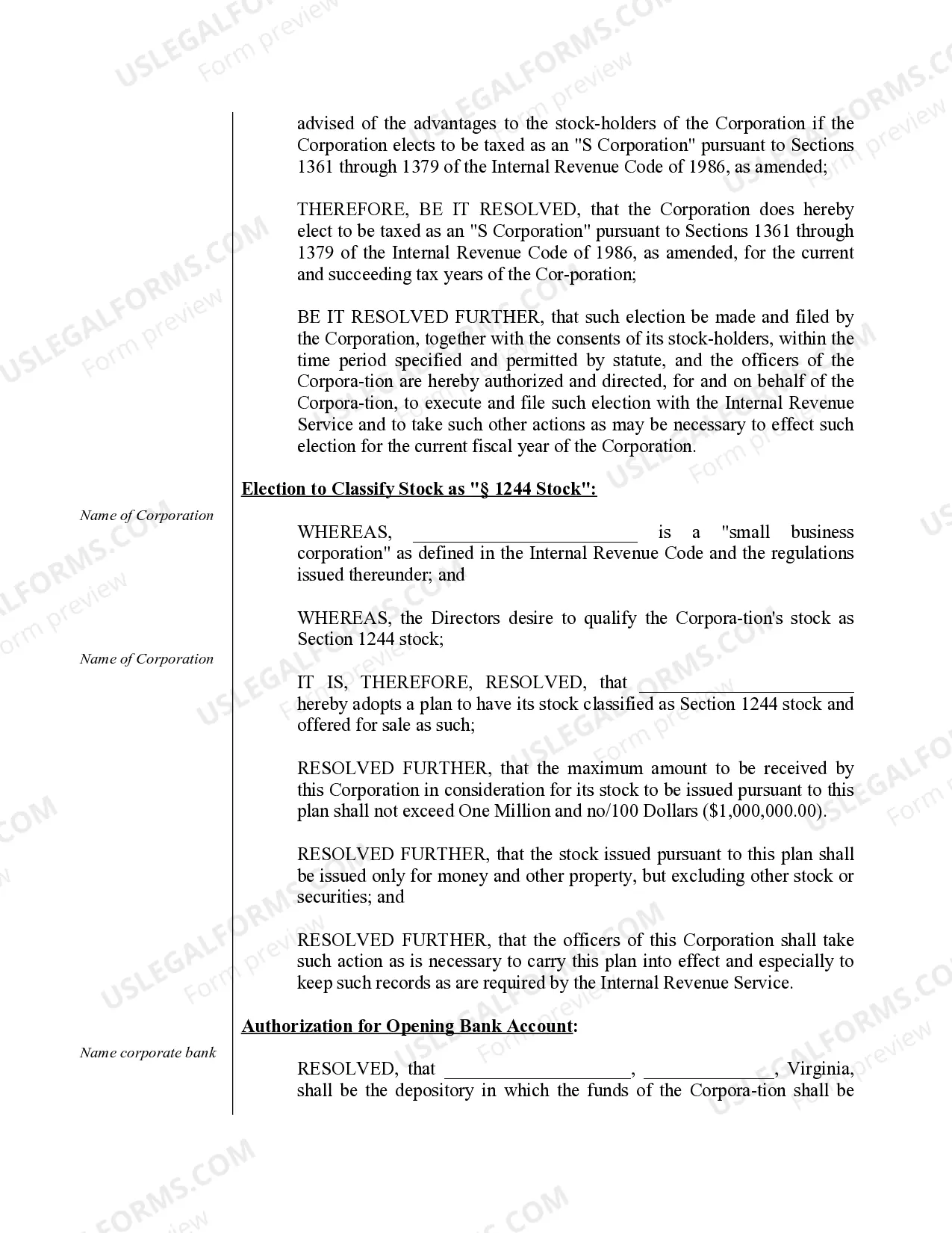 Preview Organizational Minutes for a Virginia Professional Corporation