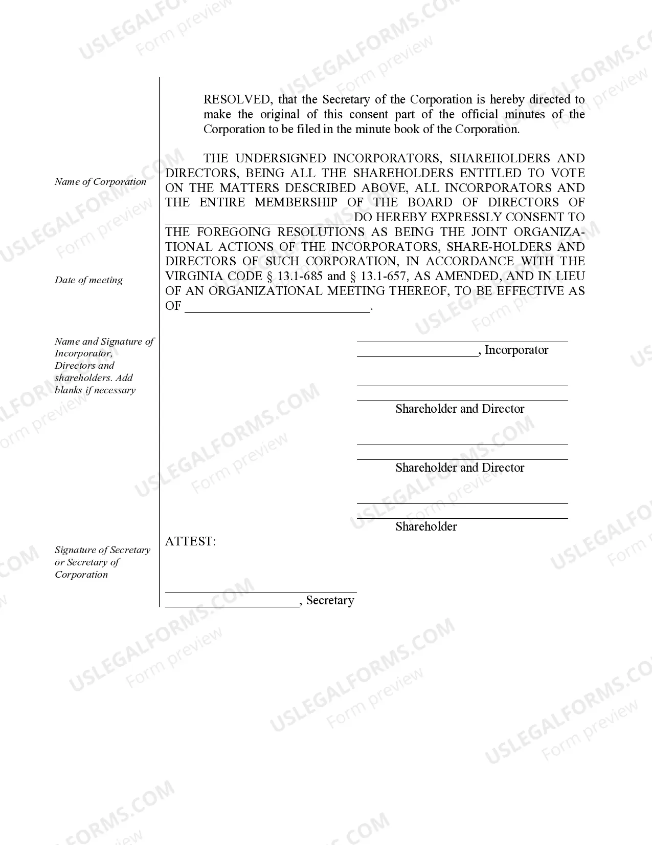 Preview Organizational Minutes for a Virginia Professional Corporation