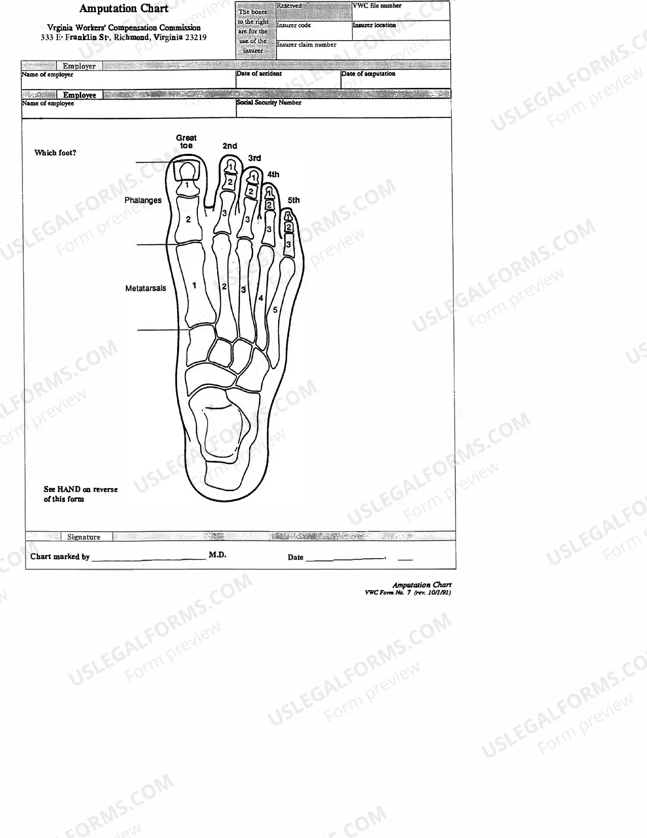 form-preview