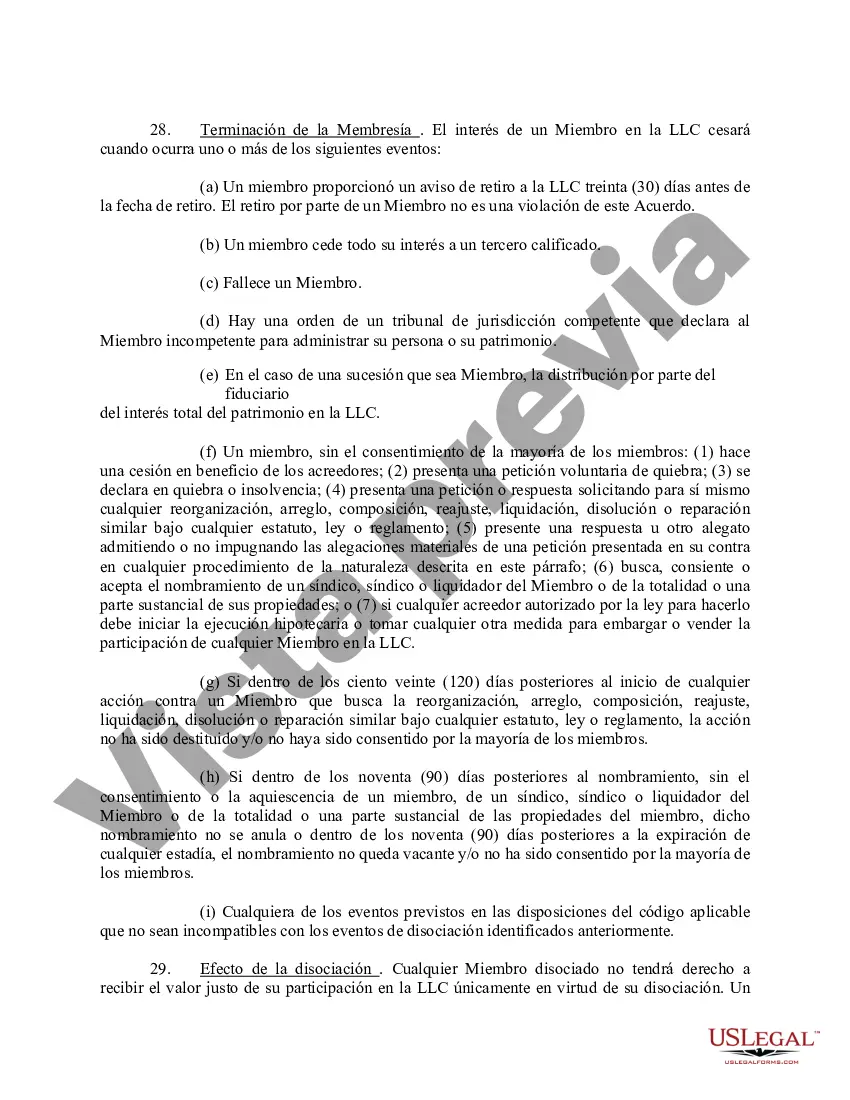 Preview Acuerdo Operativo de Sociedad de Responsabilidad Limitada LLC