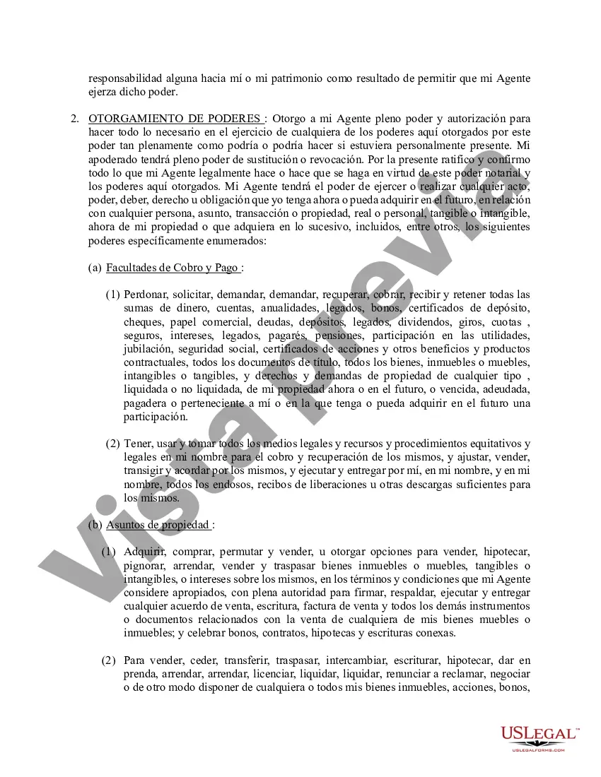 Preview Poder general duradero para la propiedad y las finanzas o efectivo financiero en caso de incapacidad