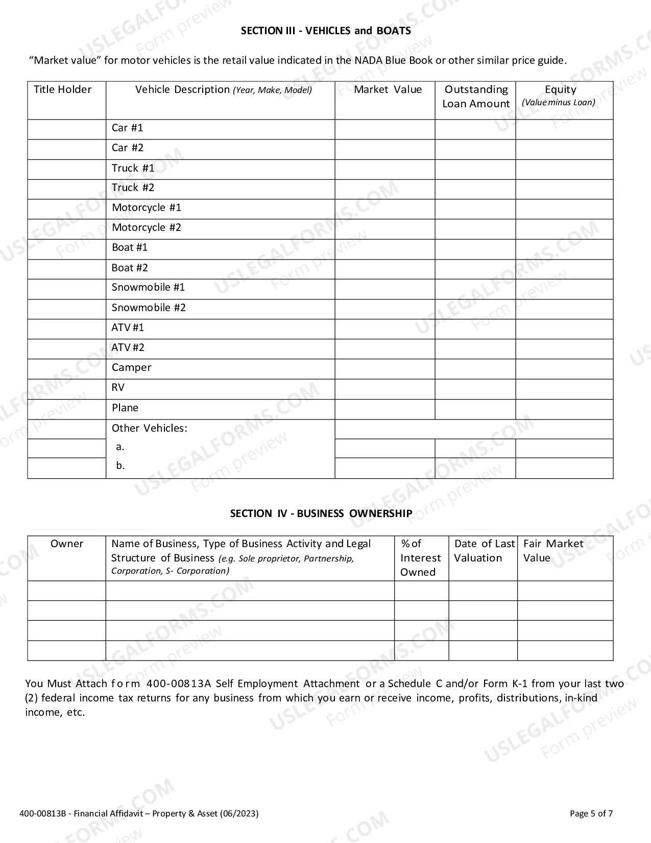 Preview Financial Affidavit (Property and Assets)