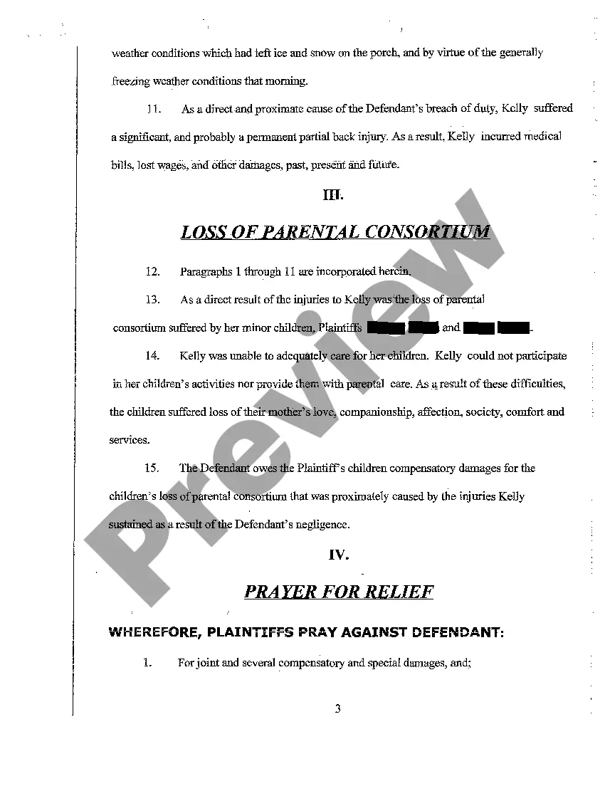 Preview Amended Complaint for Personal Injury and Loss of Parental Consortium Due to Slip and Fall