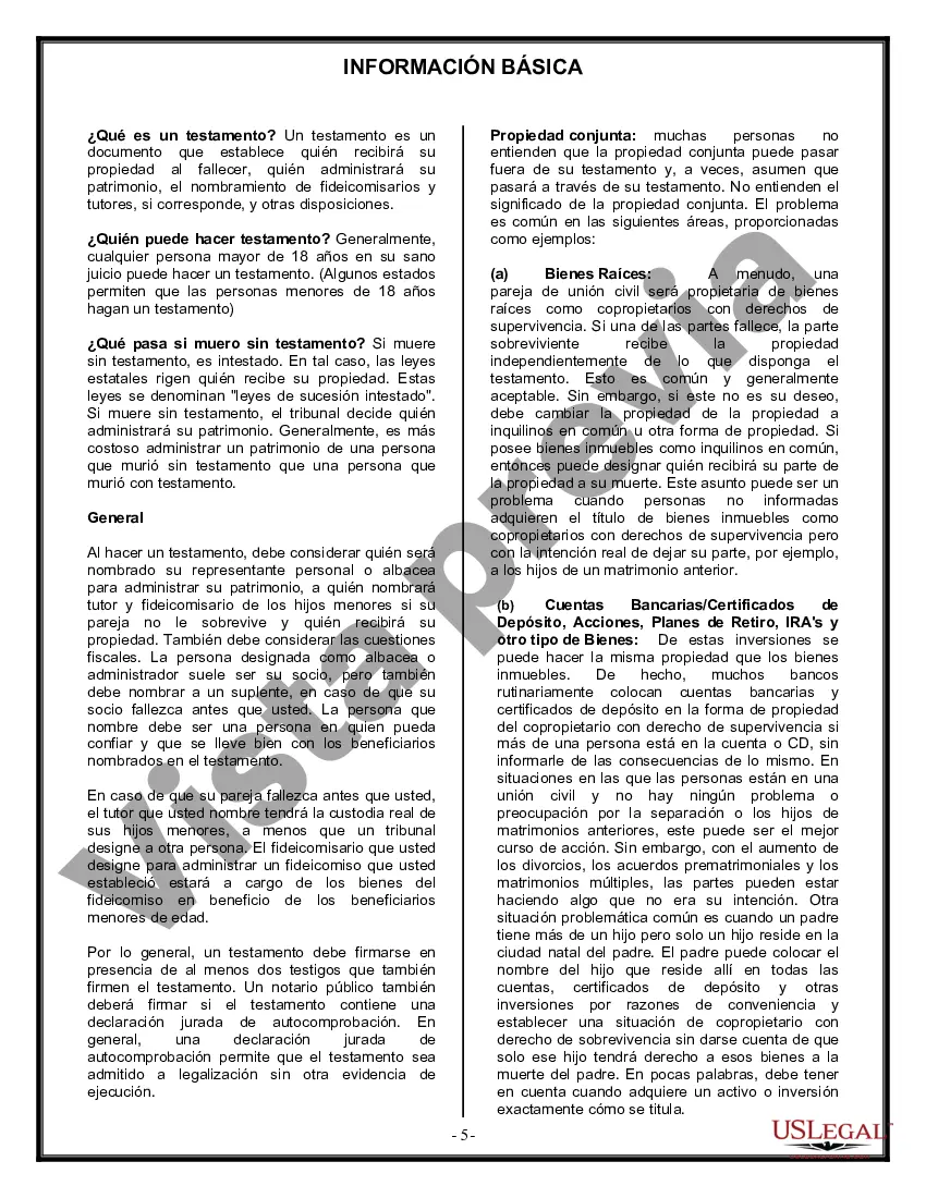 Preview Formulario de última voluntad y testamento legal para una pareja de unión civil sin hijos