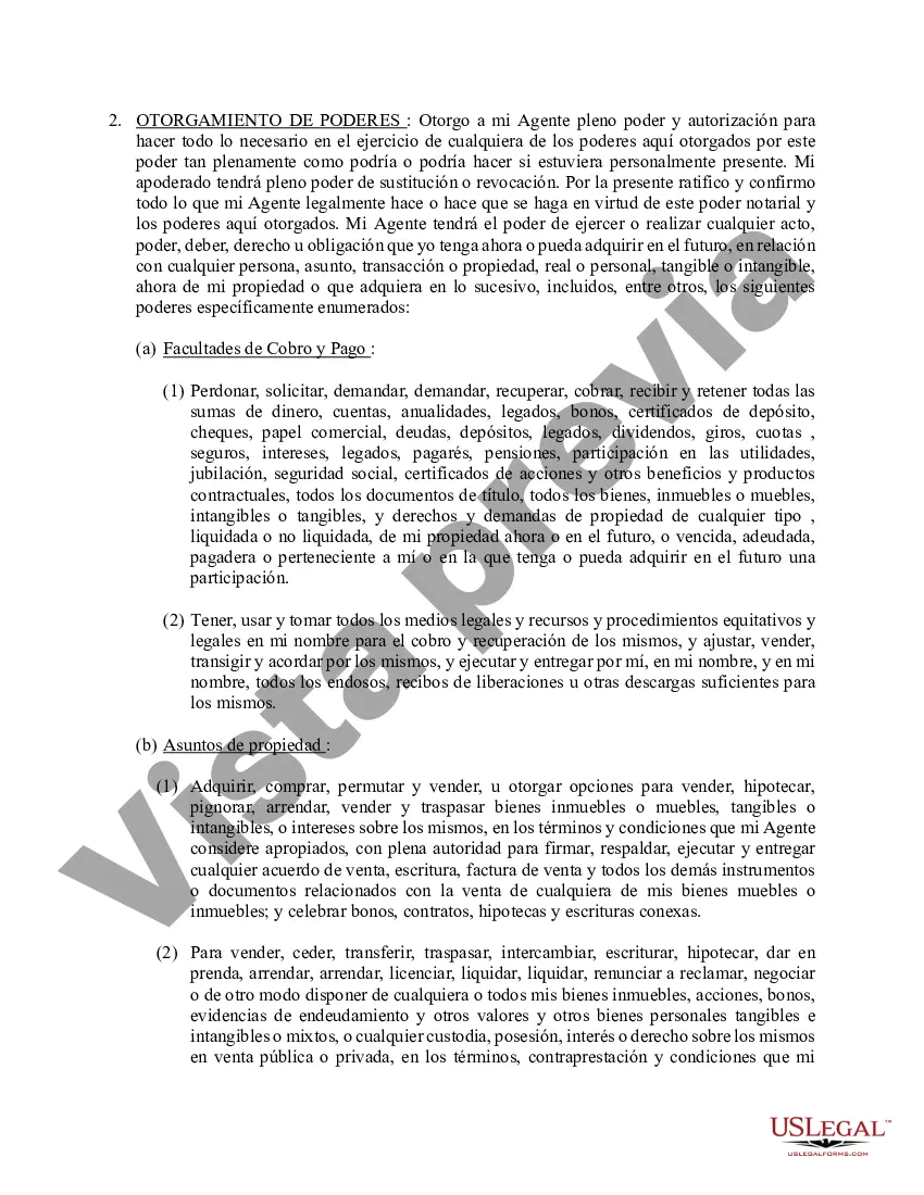 Preview Poder general duradero para la propiedad y las finanzas o efectivo financiero en caso de incapacidad
