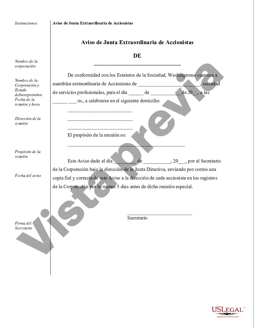 Preview Ejemplos de registros corporativos para una corporación profesional de Washington