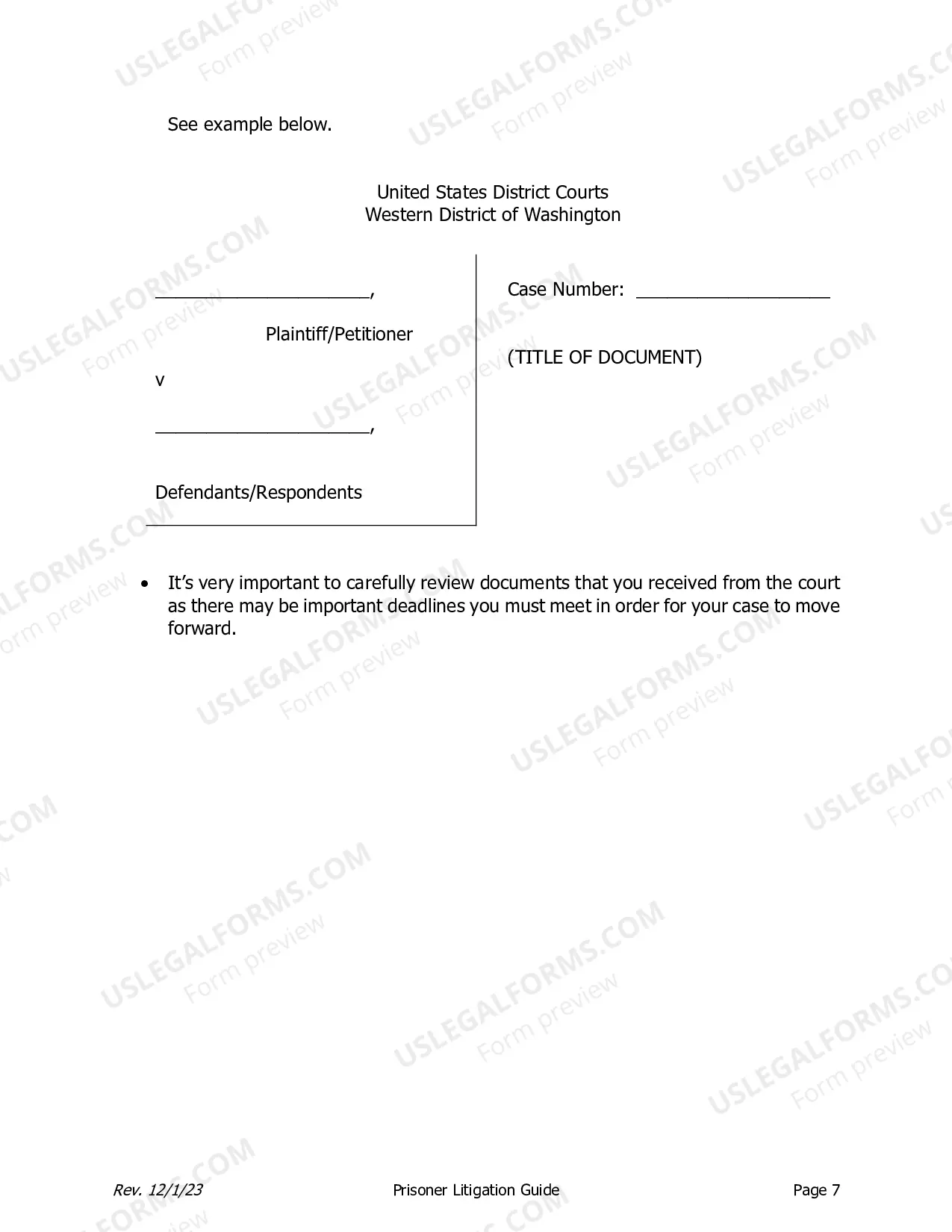 Preview Prisoner Litigation Manual