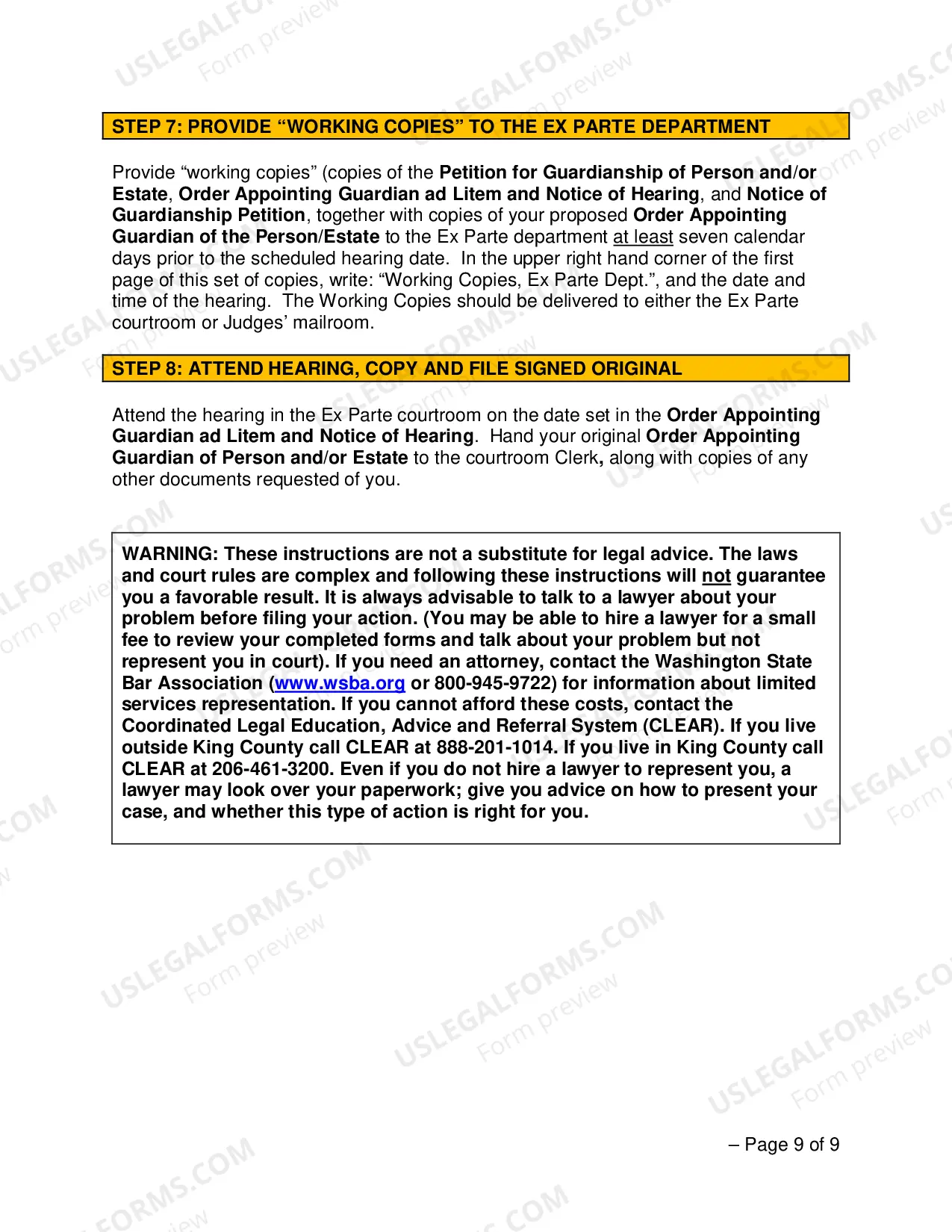 Preview Establishing A Guardianship