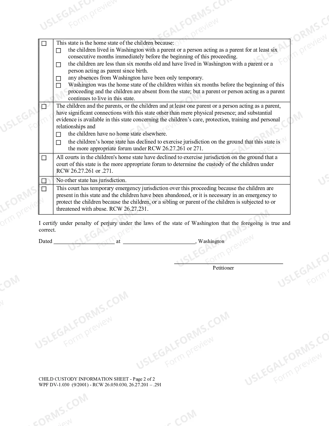Preview Child Custody Information Sheet
