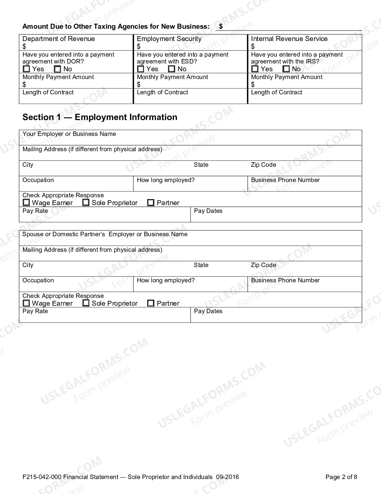 Preview Financial Statement - Sole Proprietor and Individuals