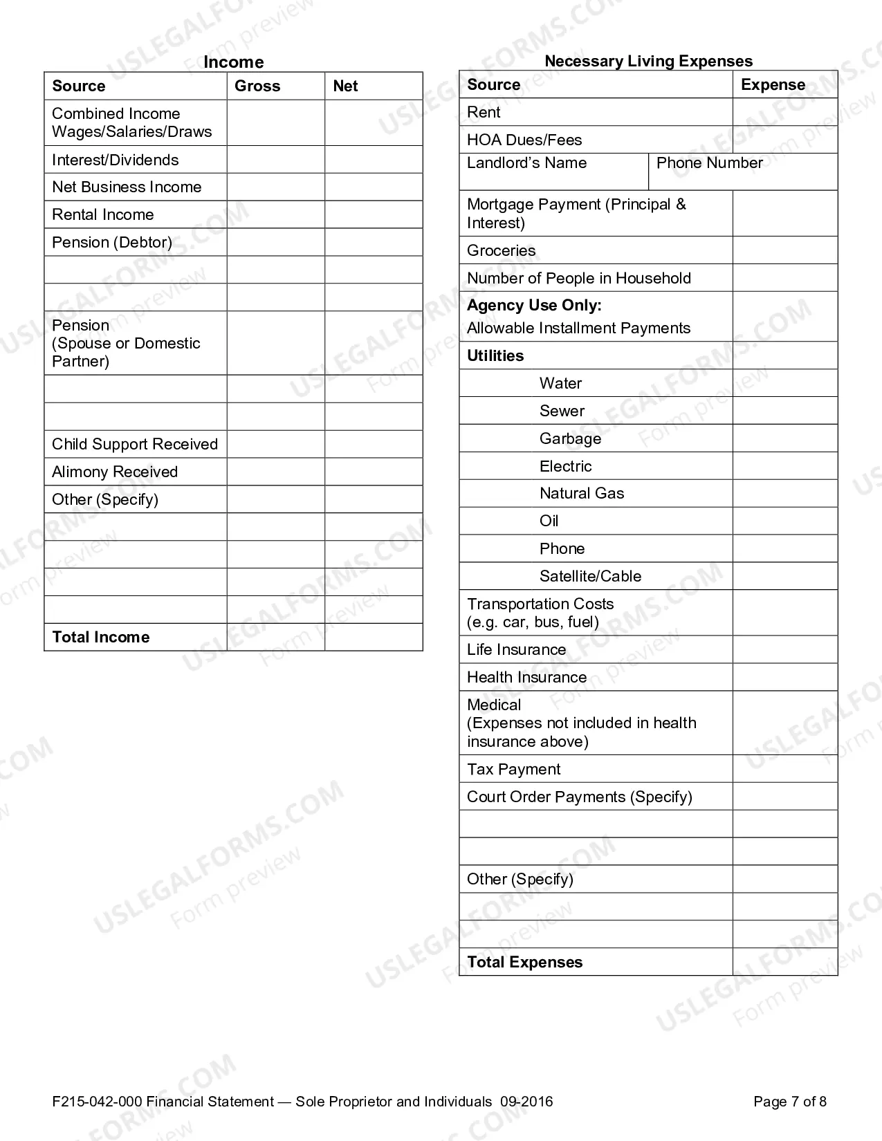 Preview Financial Statement - Sole Proprietor and Individuals