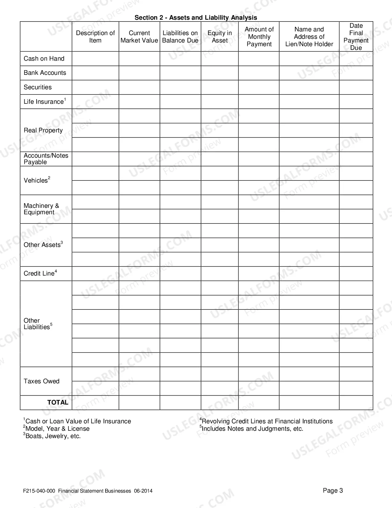 Preview Financial Statement Businesses