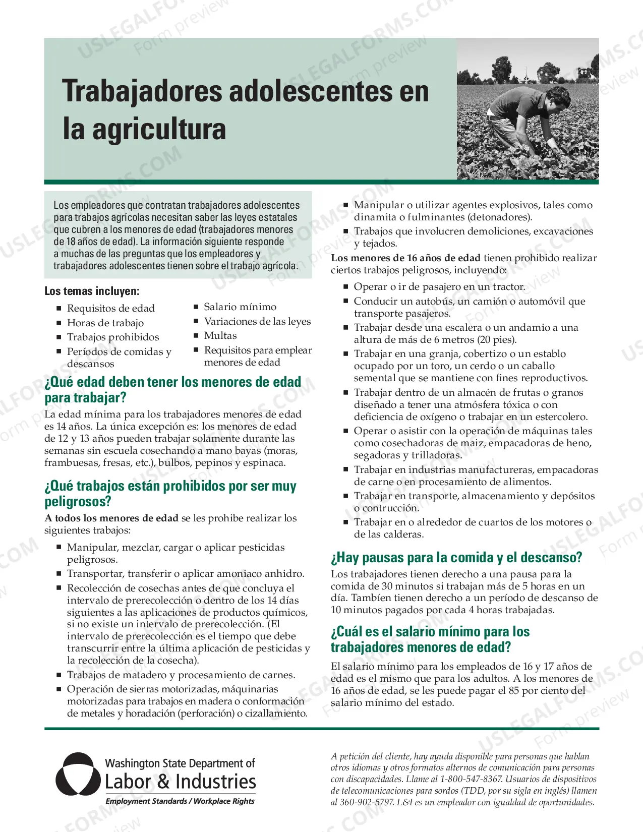Preview Young Workers in Agriculture