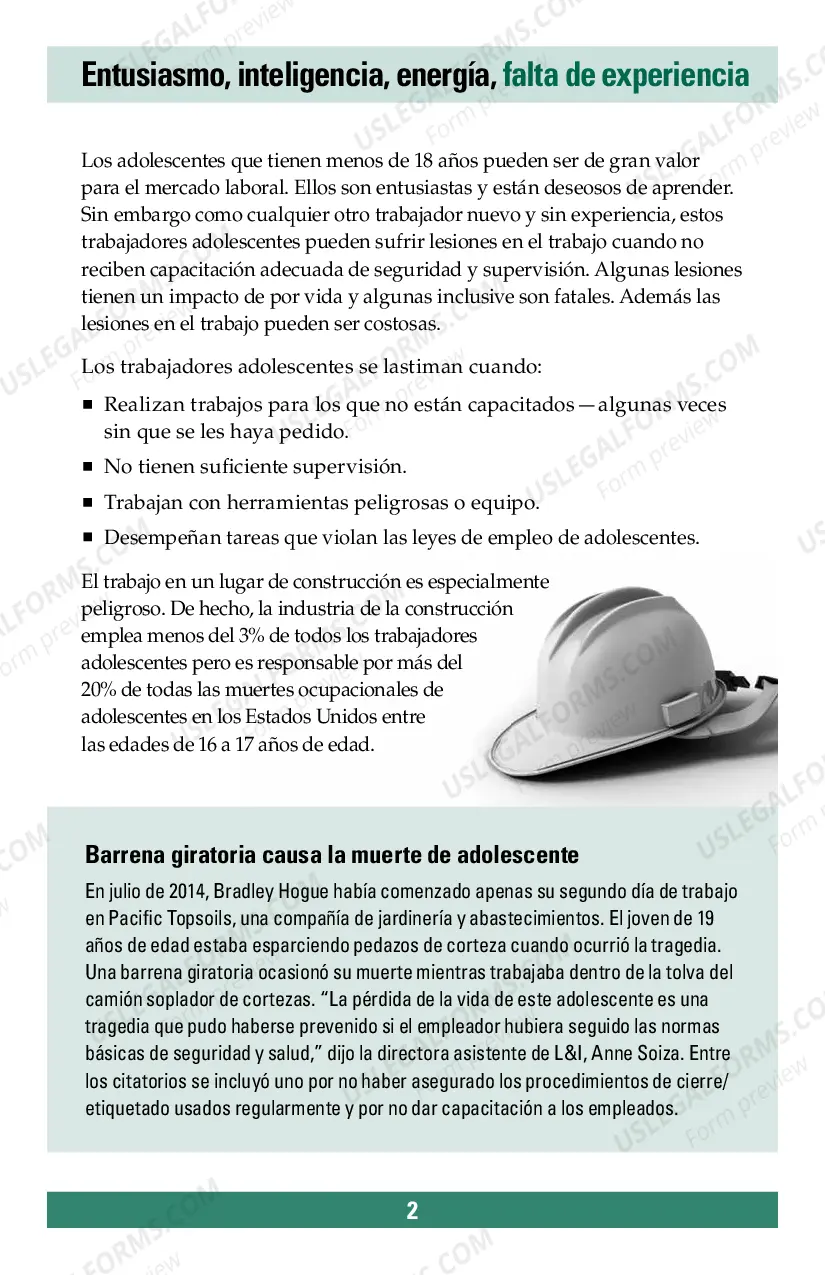 Preview Youth in Construction