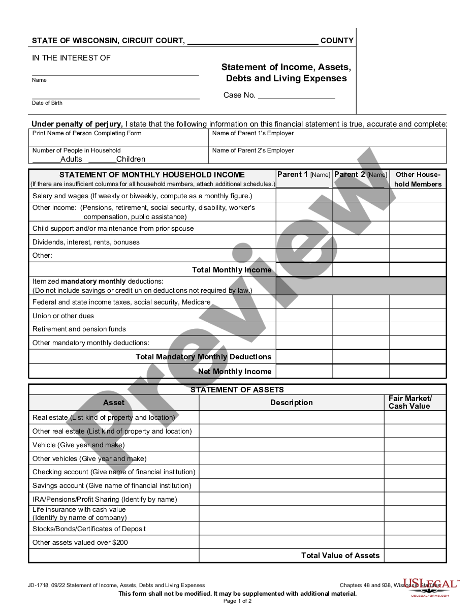 form Statement of Income, Assets, Debts and Living Expenses preview