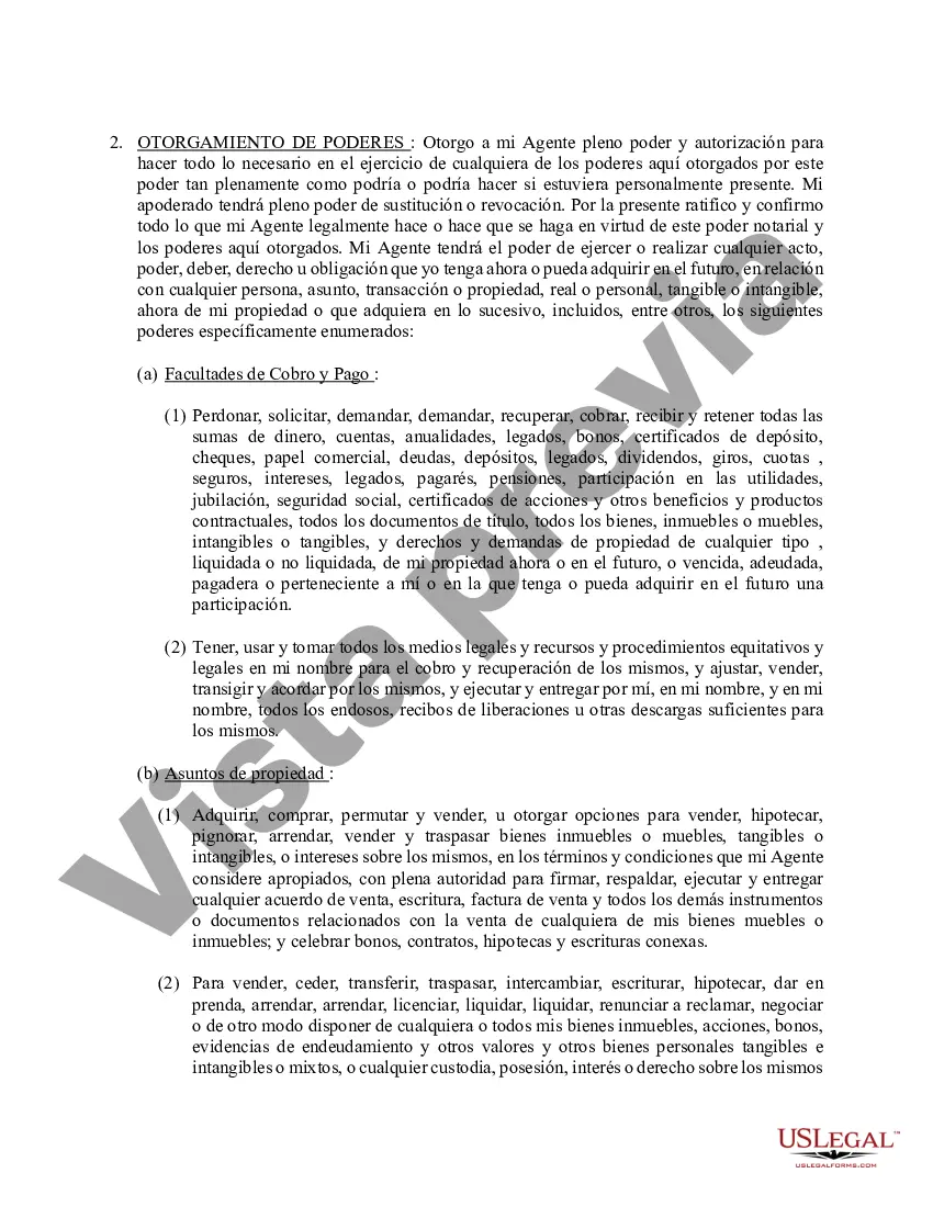 Preview Poder general duradero para la propiedad y las finanzas o efectivo financiero en caso de incapacidad