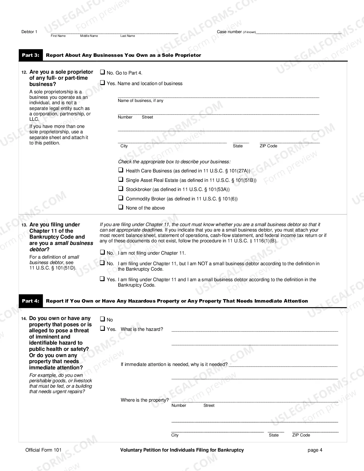 Preview Voluntary Petition for Individuals Filing for Bankruptcy