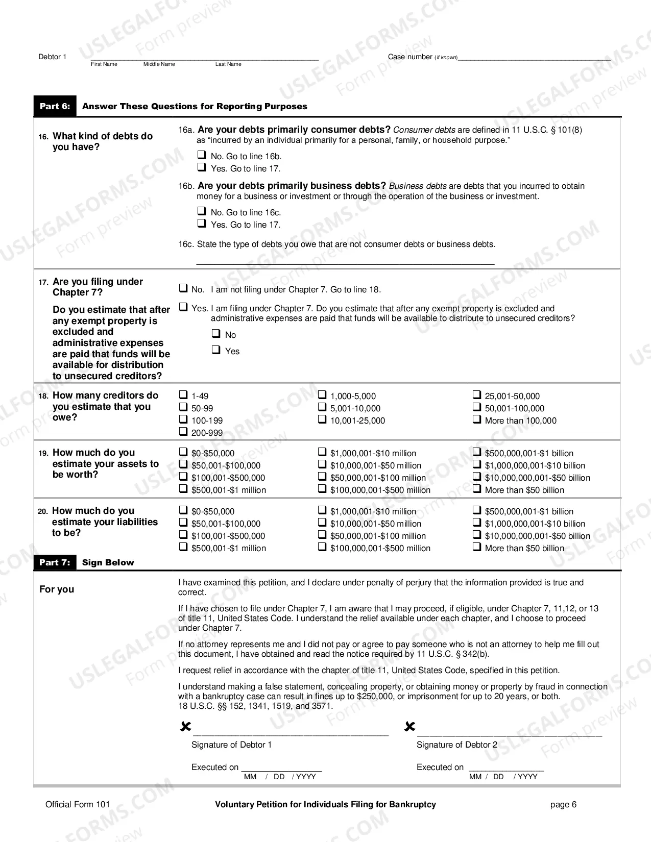 Preview Voluntary Petition for Individuals Filing for Bankruptcy