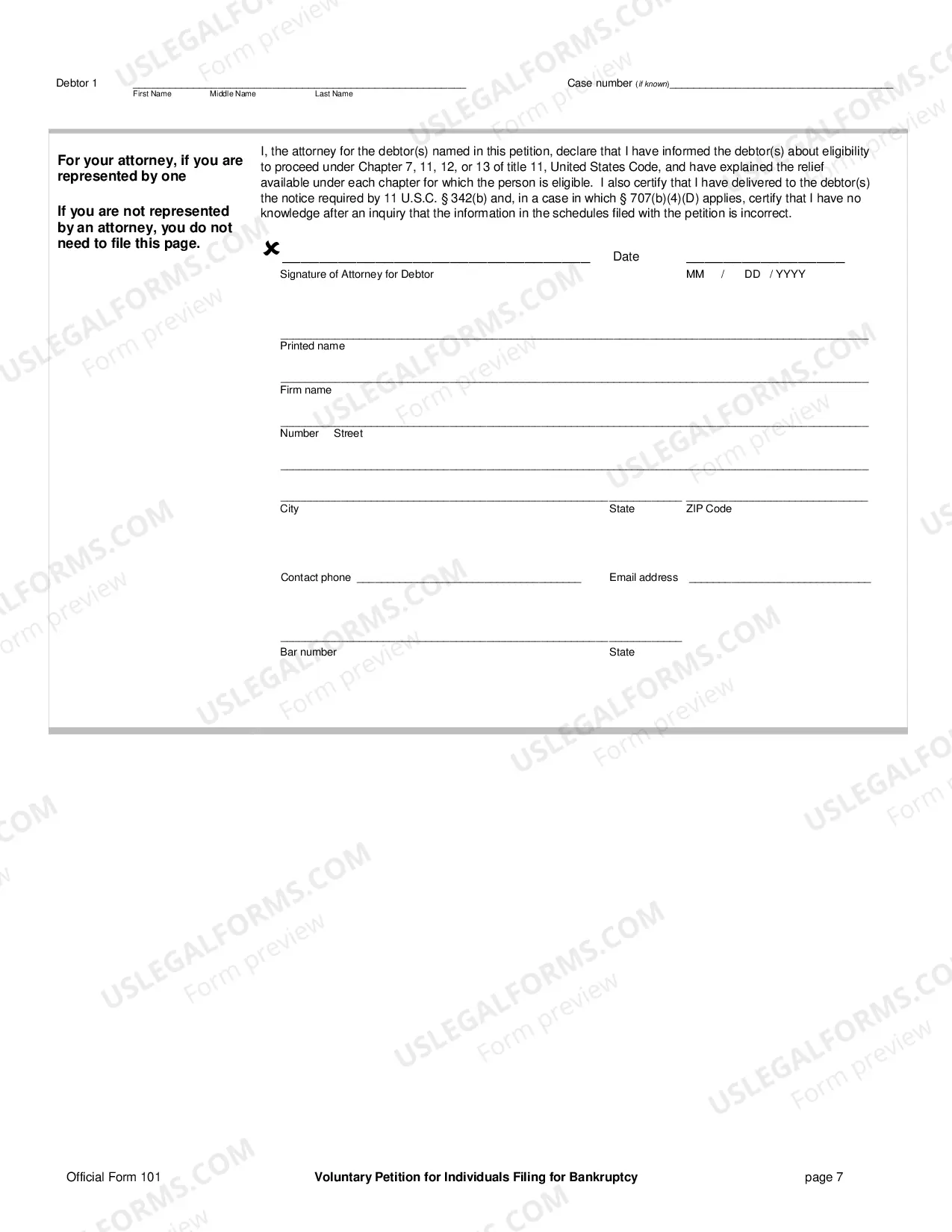 Preview Voluntary Petition for Individuals Filing for Bankruptcy