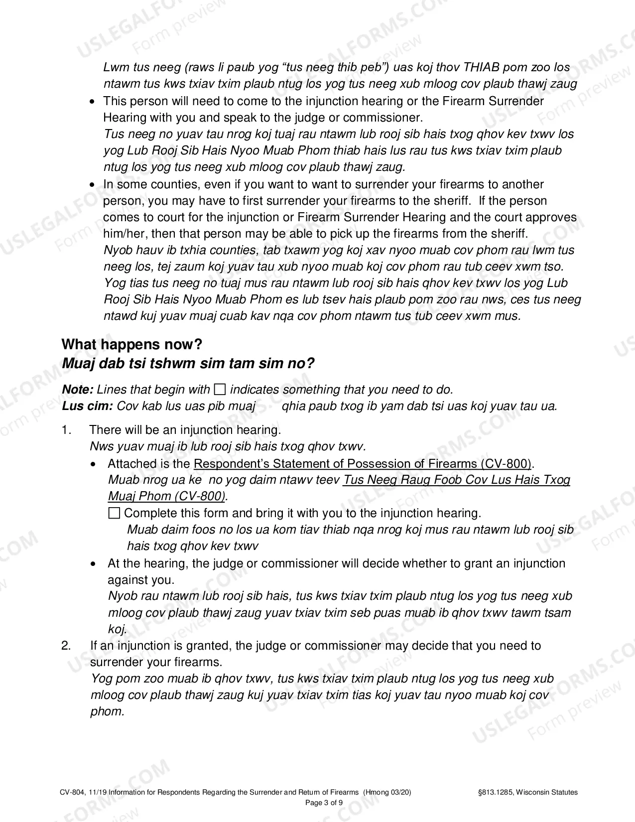 Preview Information for Respondents Regarding the Surrender and Return of Firearms