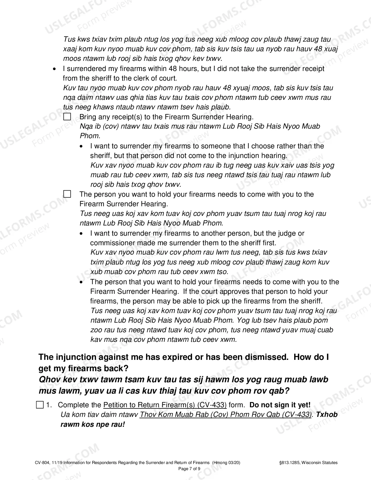 Preview Information for Respondents Regarding the Surrender and Return of Firearms
