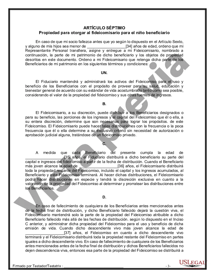 Preview Formulario de última voluntad y testamento legal para una pareja de hecho sin hijos