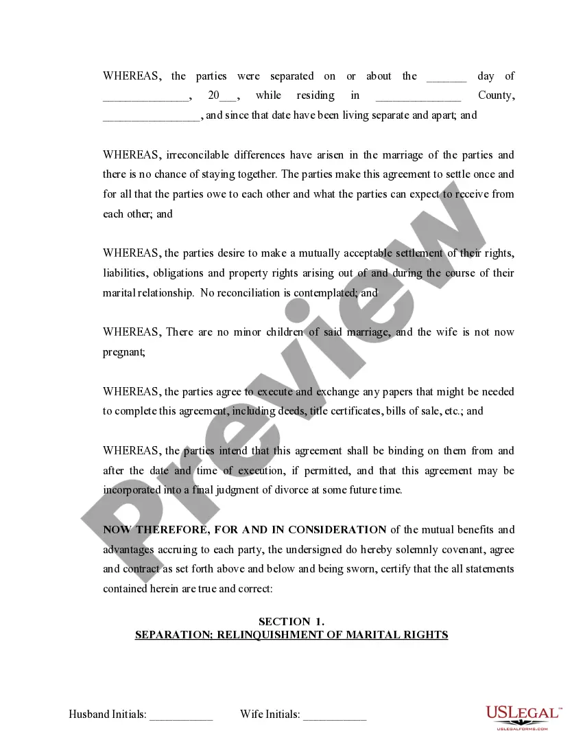 Preview Marital Domestic Separation and Property Settlement Agreement no children