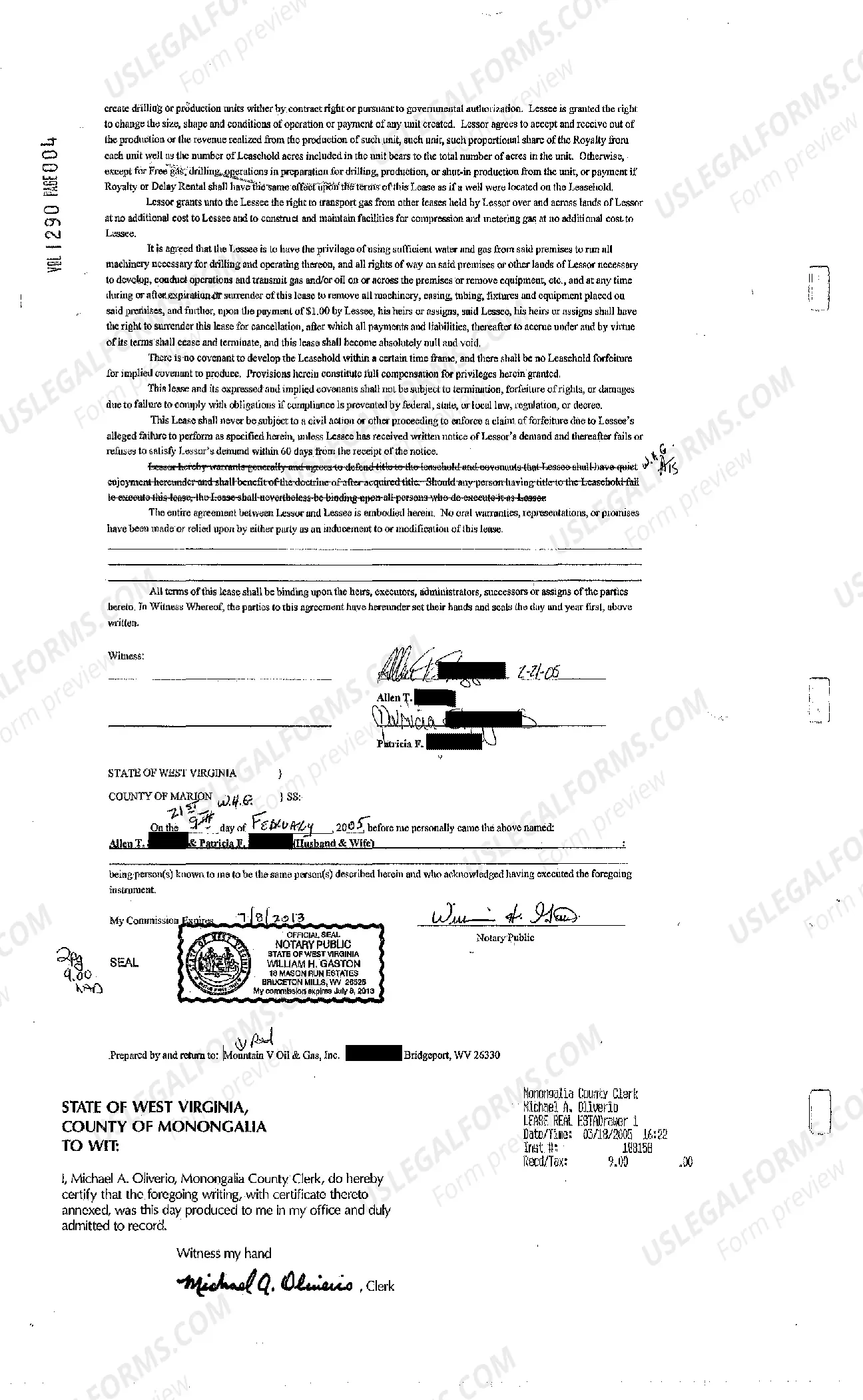 Preview Oil and Gas Lease