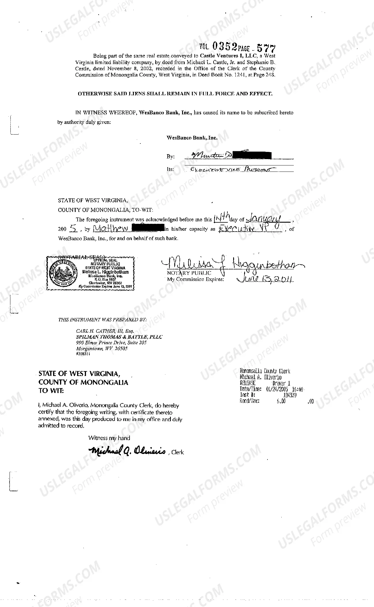 Preview Partial Release of Liens