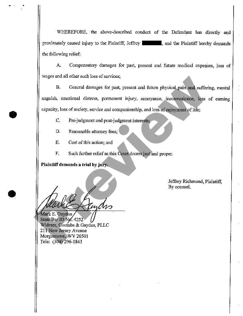 Preview A03 Complaint for Personal Injury from Dog Bite Due to Negligent Restraint of Dog by Defendant Owner