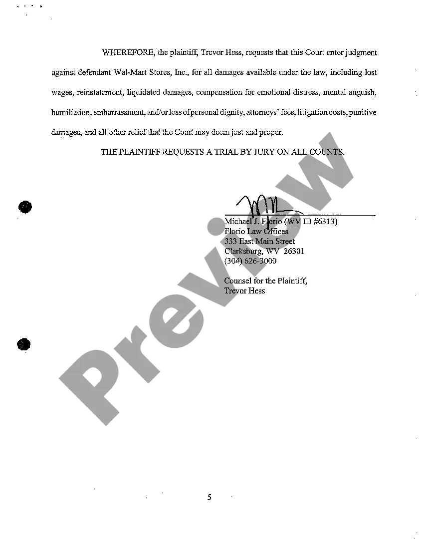 Preview A03 Complaint for Wrongful Termination and Wage Payment and Collection