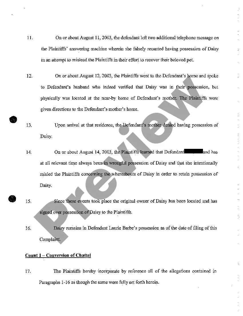 Preview A01 Complaint for Conversion of Chattel Lost Dog