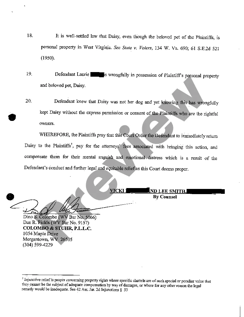 Preview A01 Complaint for Conversion of Chattel Lost Dog