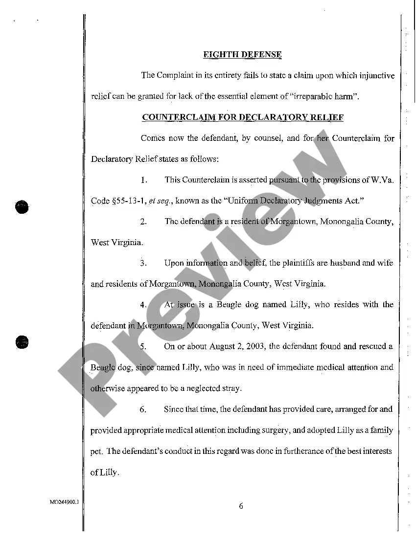 Preview A05 Answer and Counterclaim and Declaratory Relief