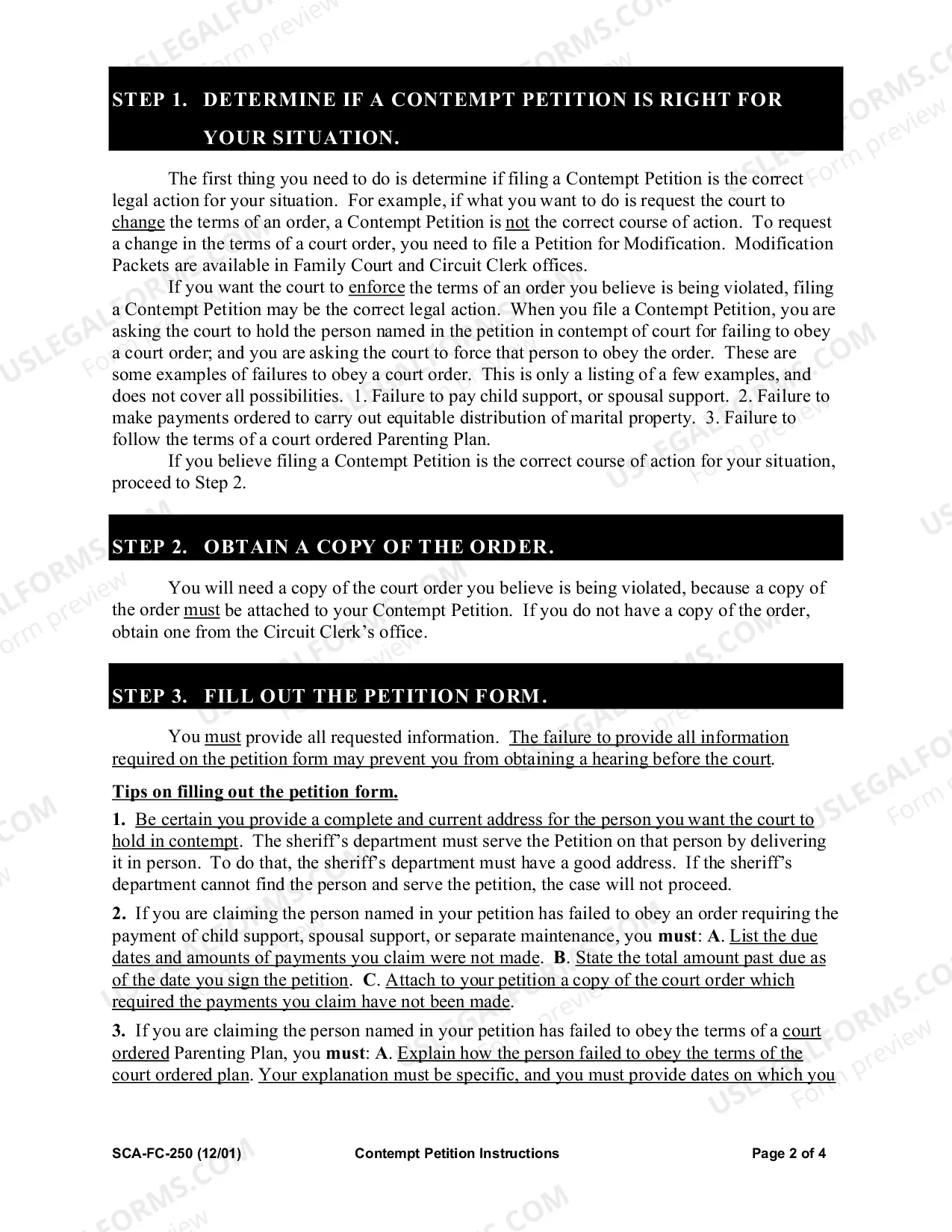 Preview Contempt Petition Instructions