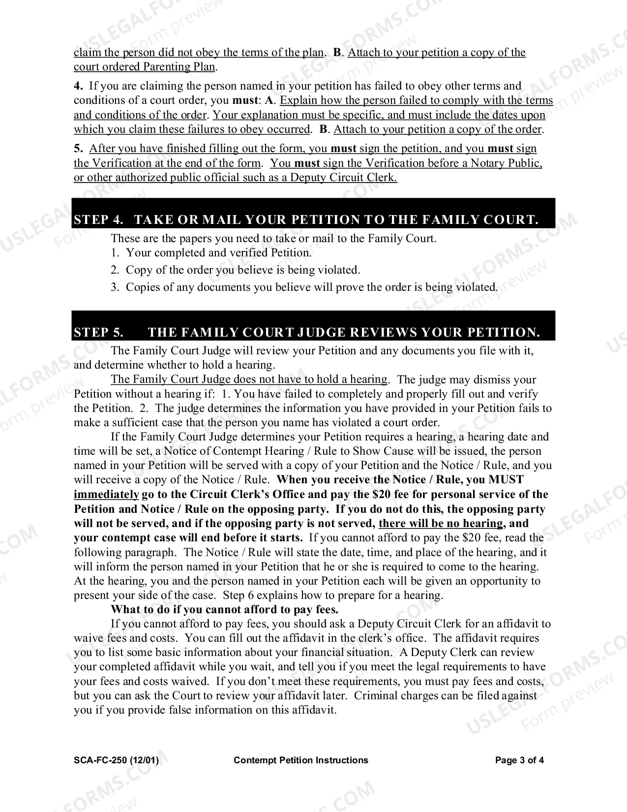 Preview Contempt Petition Instructions