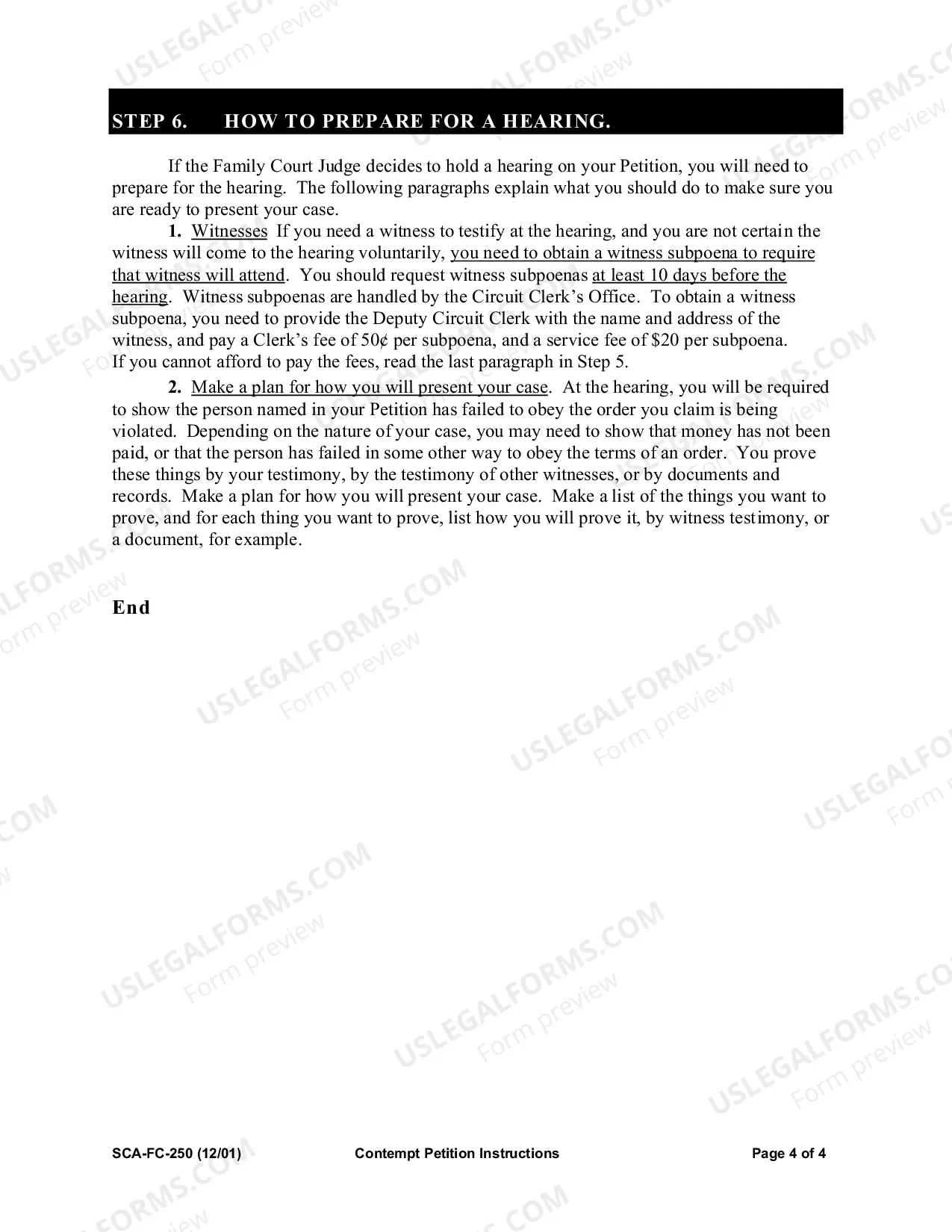 Preview Contempt Petition Instructions