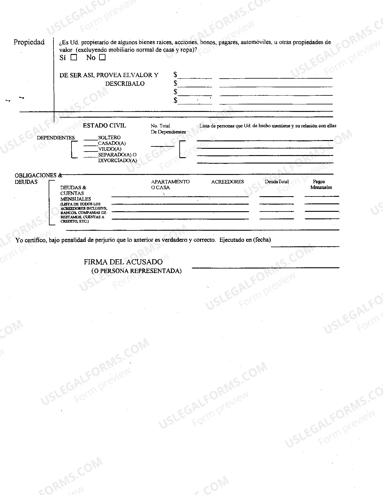 Preview Financial Affidavit - Spanish