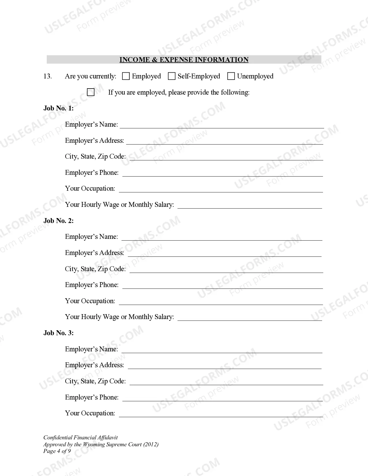 Preview Confidential Financial Affidavit W.S. Section 20-2-308 for Modification of Child Support