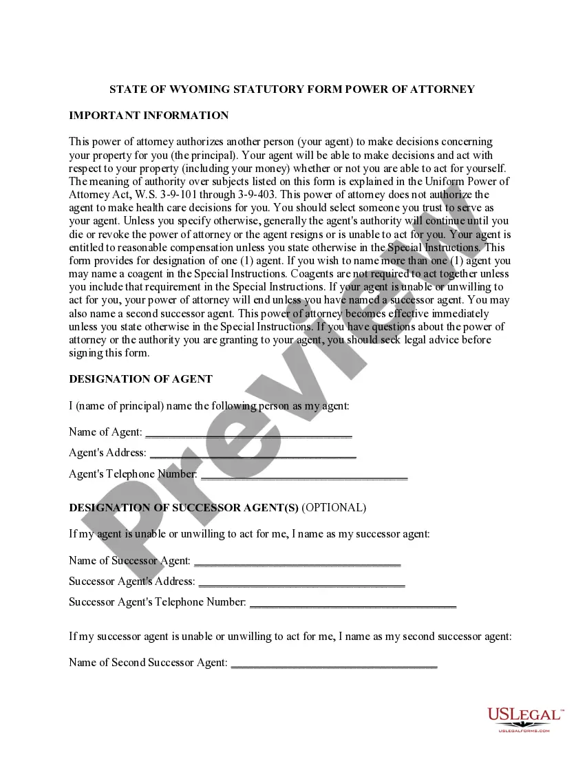 Preview Statutory Power of Attorney