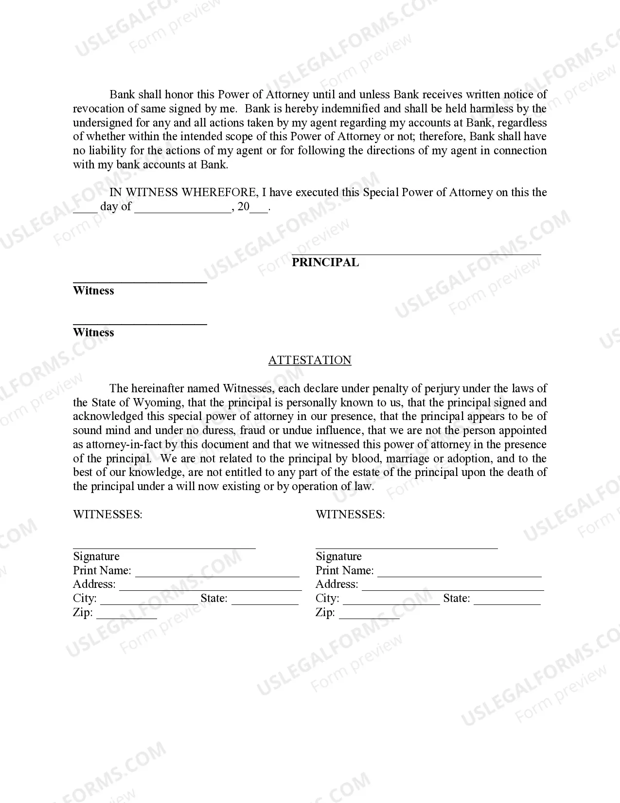 Preview Special Durable Power of Attorney for Bank Account Matters