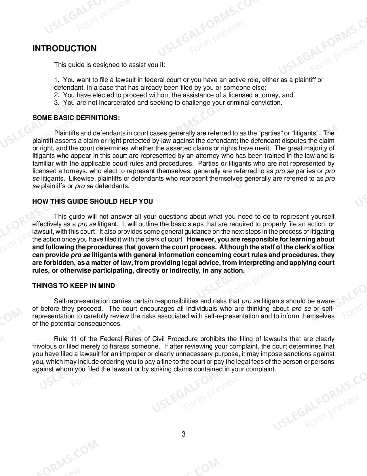 Preview Pro Se Litigant Guide