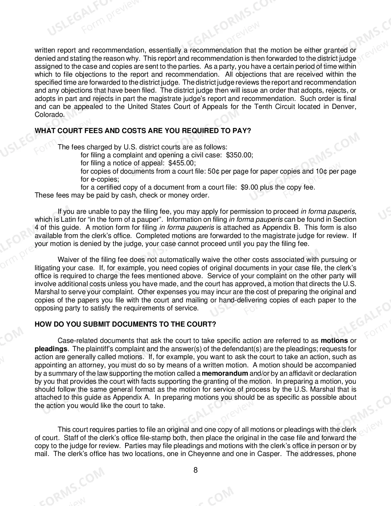 Preview Pro Se Litigant Guide
