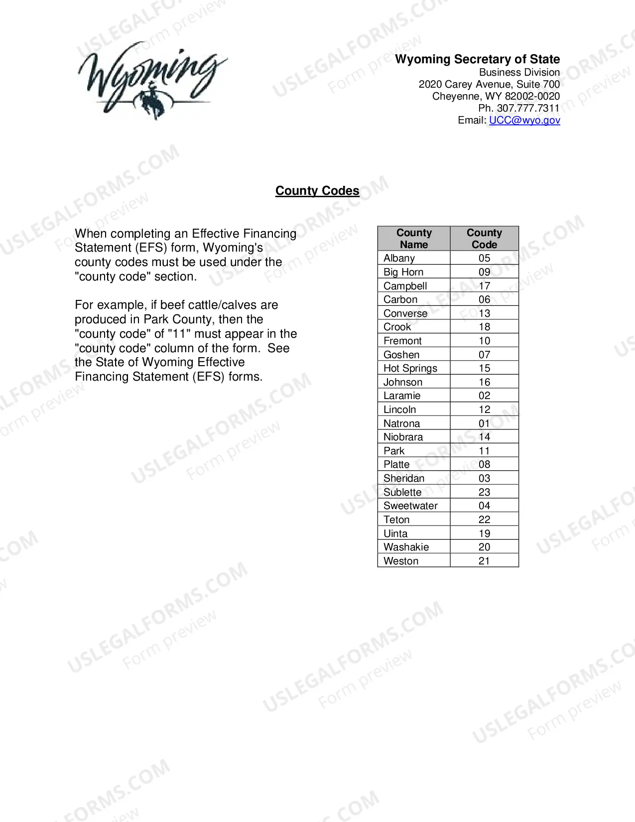 Preview Wyoming UCC Effective Financing Statement Amendment
